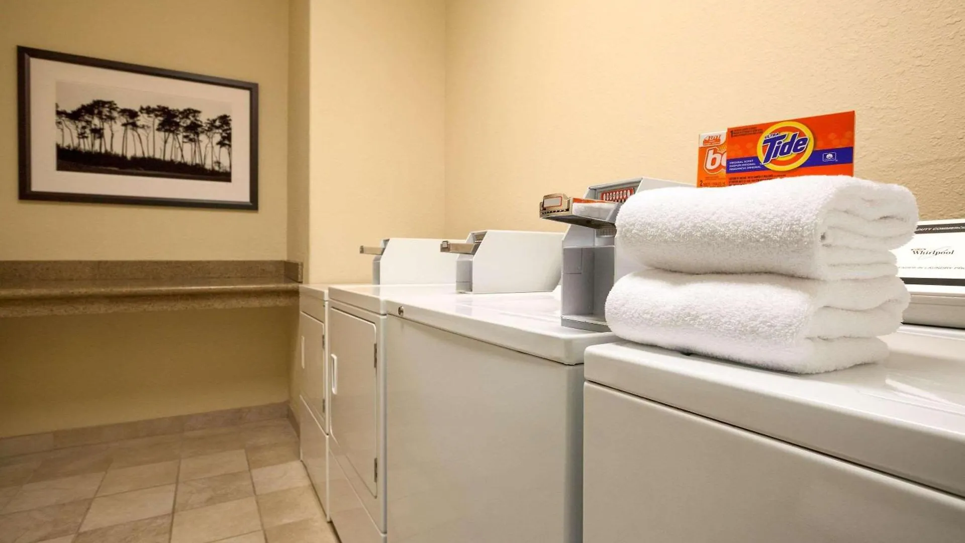 Country & By Radisson, Murrells Inlet, Sc